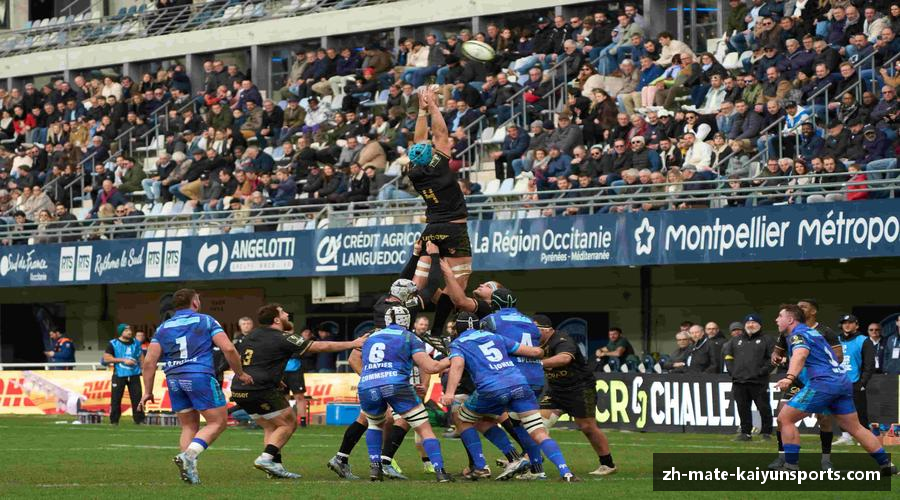 开云体育下载热血沸腾，荣耀终归！